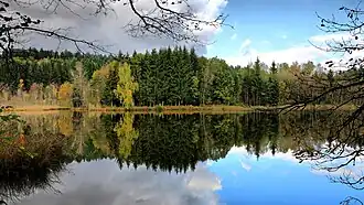 Un des étangs de la Grand Peteneu.