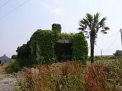 Les écuries et le jardin exotique