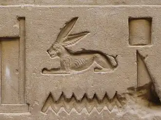 Lièvre sur son complément phonétique N35 de l'eau