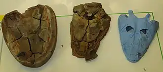 Description de cette image, également commentée ci-après