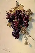 Still Life with Grapes, 1888, Smithsonian American Art Museum