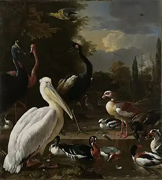 Un pélican et d'autres oiseaux dans une mare1680, Rijksmuseum.