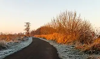 Route en hiver près du village, vers Langweerderwielen (Langwarder Wielen). Décembre 2016.