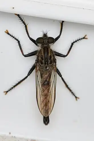 Description de cette image, également commentée ci-après