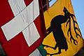 Drapeaux de la Suisse et d'Eglisau.