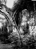 Ancienne abbaye Notre-Dame du Nid-au-Merle, ruines.