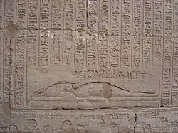 photographie de hiéroglyphes