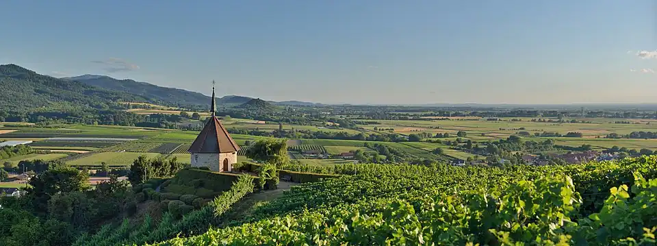 Paysage du fossé rhénan à Ehrenkirchen, au pied de la Forêt-Noire.