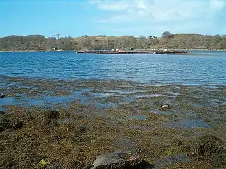 Vue sur une ferme piscicole devant Eilean Righ
