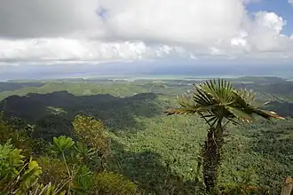 Vue depuis le mirador d'El Yunque vers la baie de Miel au N-E