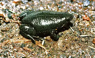 Description de cette image, également commentée ci-après