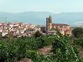 Vue panoramique de Elciego d'un rang de vigne