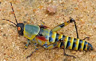 Description de cette image, également commentée ci-après