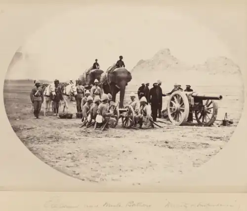 Batterie d'éléphants et de mules, deuxième guerre anglo-afghane (1878-1879).
