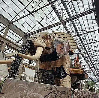 Image illustrative de l’article Grand éléphant