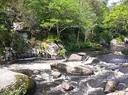 L'Ellé aux Roches du Diable.