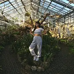 Description de cette image, également commentée ci-après