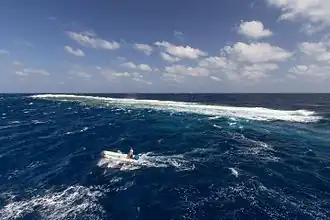 Le récif d'Elphinstone.