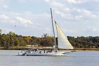 illustration de Elsworth (skipjack)