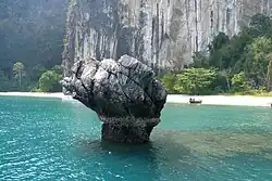 Rocher dans une eau turquoise, près des côtes. Une forêt dense et une falaise sont visibles en arrière-plan.