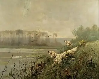 Chiens de chasse au bord de l'étang.