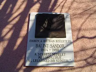 Le lieu de naissance de Sándor Bálint était le 72 de la rue Pálfy. La plaque commémorative de la maison a été dévoilée en 1984 par István Sőtér&nbsp;(hu), universitaire et historien de la littérature. La plaque a été réalisée par Gyöngyi Szathmáry. Mais le 4 août 2004, à l'occasion du 100e anniversaire de la naissance de Sándor Bálint, la démolition de sa maison natale a commencé, et une maison a été construite sur le site.