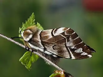 Description de cette image, également commentée ci-après
