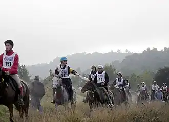 Dans un paysage champêtre, une dizaine de cavaliers à cheval se suivent, tous portent un dossard; quelques personnes à pieds sont positionnées le long de la file; la cavalière au premier plan lance une bouteille vide par terre.