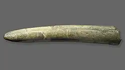 Gravure (d'une carte ?) sur une défense de mammouth, Gravettien