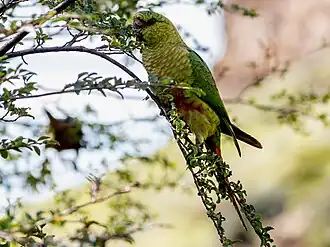 Description de cette image, également commentée ci-après