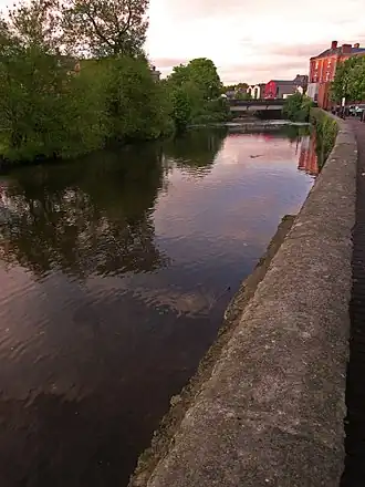 La rivière Fergus traverse Ennis.