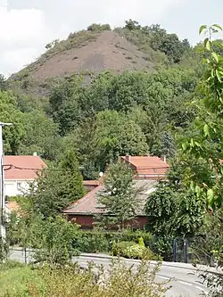 Le terril no&nbsp;244.