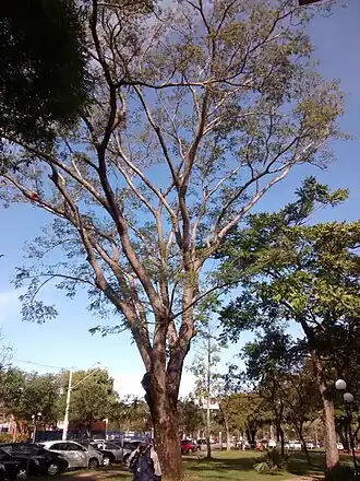 Description de cette image, également commentée ci-après