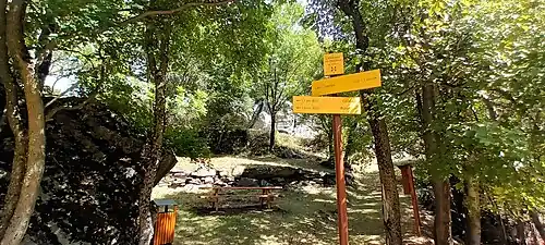 Photographie en couleur d'un sous-bois avec des panneaux indicateurs fixés à un tronc d'arbre.