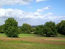 Autre exemple de la variété des paysages sur la commune de Noisy, sur le chemin rural à mi-chemin entre Noisy et Asnières-sur-Oise : l'impression d'un parc s'impose.
