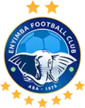 Logo du Enyimba FC