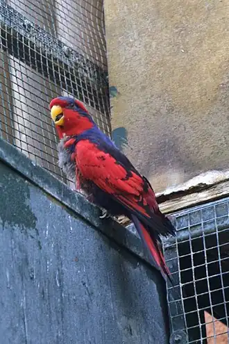 Description de cette image, également commentée ci-après