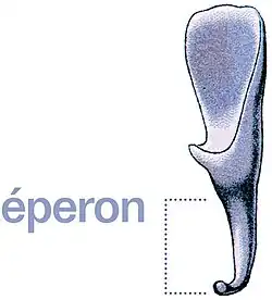 Éperon d’un pétale d’ancolie alpine (Aquilegia alpina).