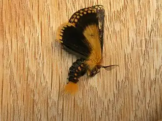 Description de cette image, également commentée ci-après