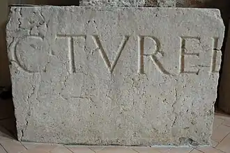 Image illustrative de l’article Cubulteria