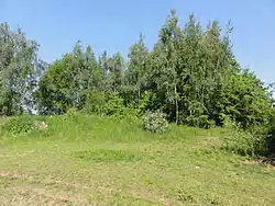 Les restes du terril no&nbsp;129.