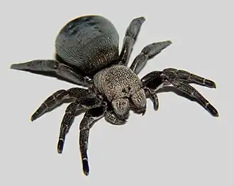 Description de cette image, également commentée ci-après