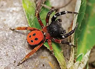 Description de cette image, également commentée ci-après