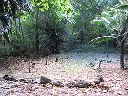 Photographie montrant des stèles disposées en arc de cercle, dans une forêt.