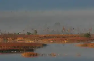 Lac #rm8stu en octobre.