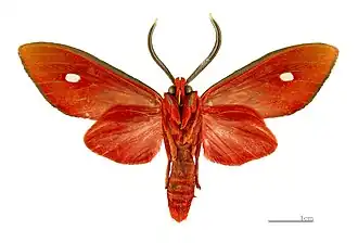 Description de cette image, également commentée ci-après