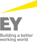 Logo de EY de 2013 à 2019.