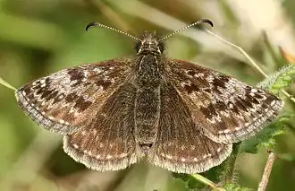 Description de cette image, également commentée ci-après