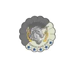 Insigne de l'escadron de commandement et de logistique