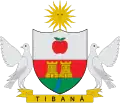 Blason de Tibaná